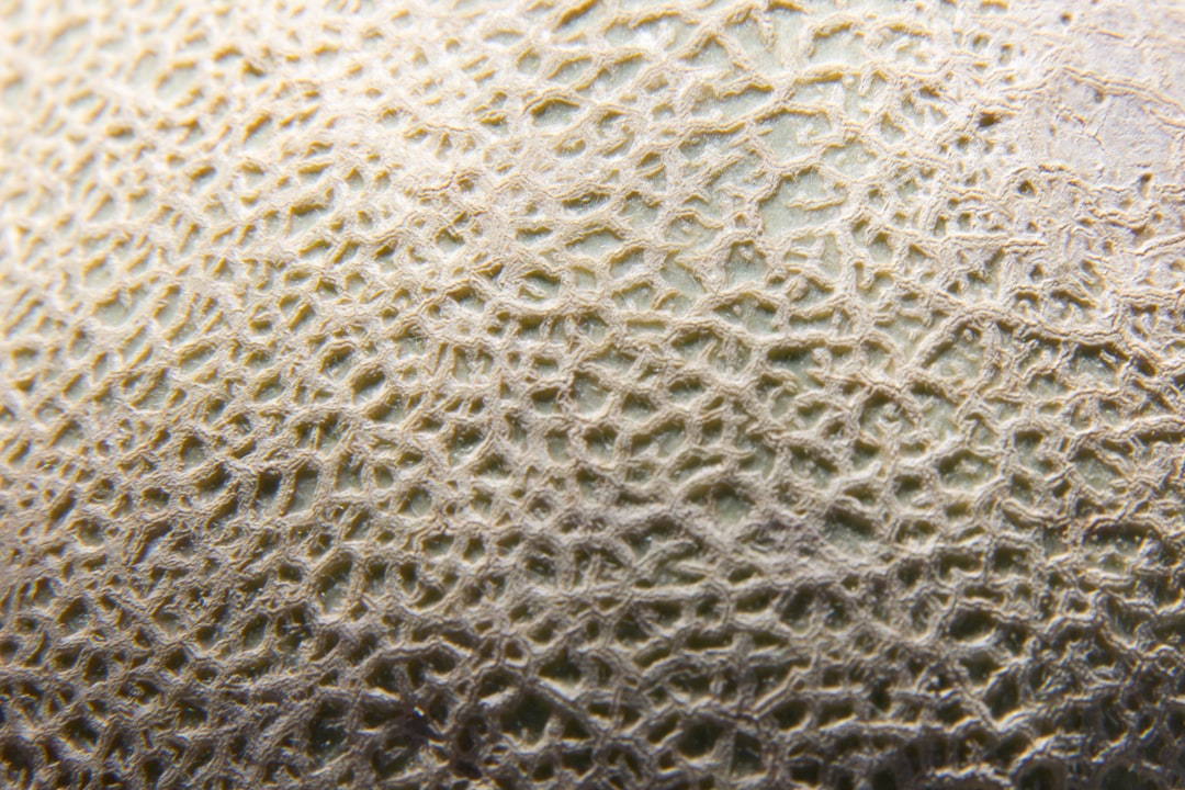 a close up view of the skin of an animal